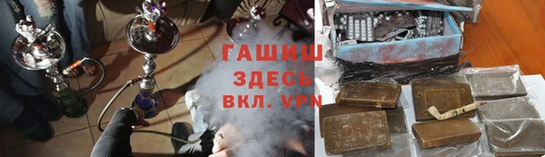 прущие грибы Великий Новгород