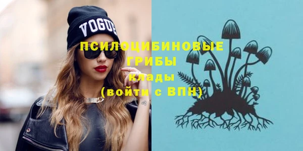 прущие грибы Великий Новгород