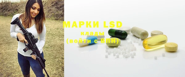 прущие грибы Великий Новгород