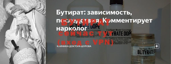 прущие грибы Великий Новгород