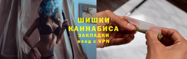 сатива Орск