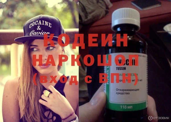 прущие грибы Великий Новгород
