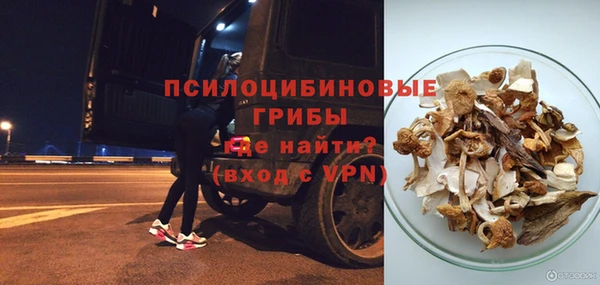 прущие грибы Великий Новгород