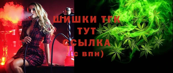 сатива Орск
