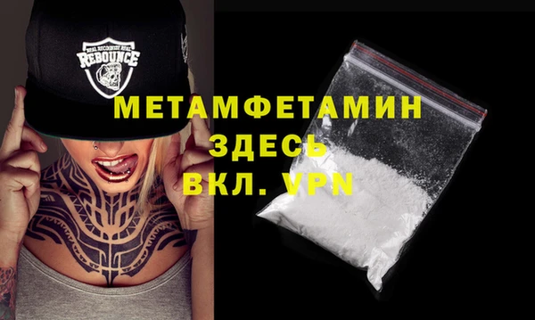 прущие грибы Великий Новгород