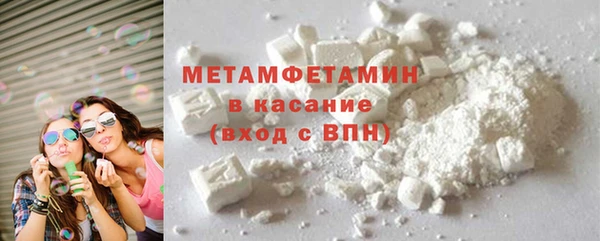 прущие грибы Великий Новгород