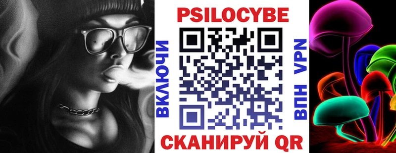 Галлюциногенные грибы Psilocybe  купить закладку  Александровск-Сахалинский 